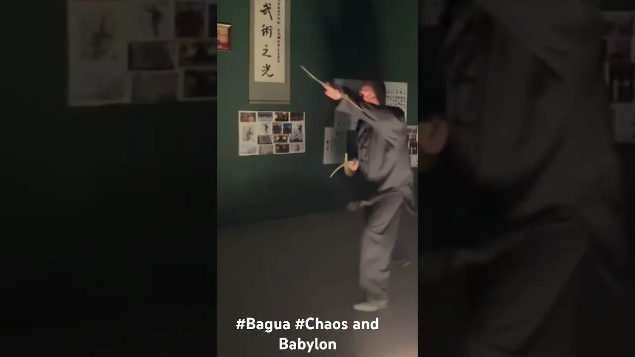 Bagua deer horn knives #chinesemartialarts #bagua #baguazhang #kungfu #chinesemartialarts #fyp