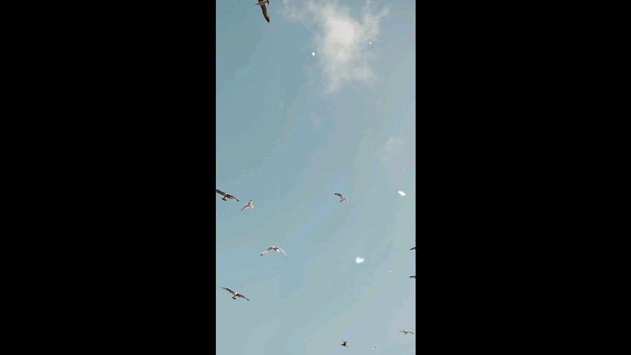 Just fly!!