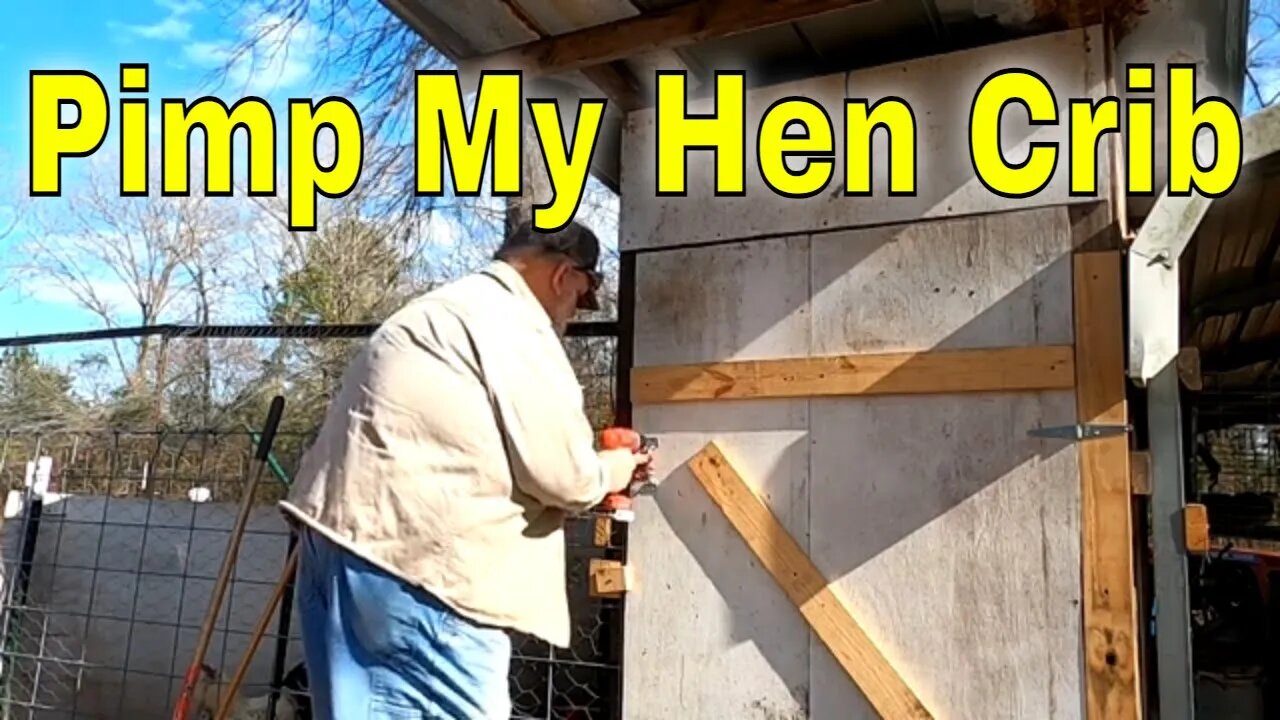 Hen Crib Upgrades