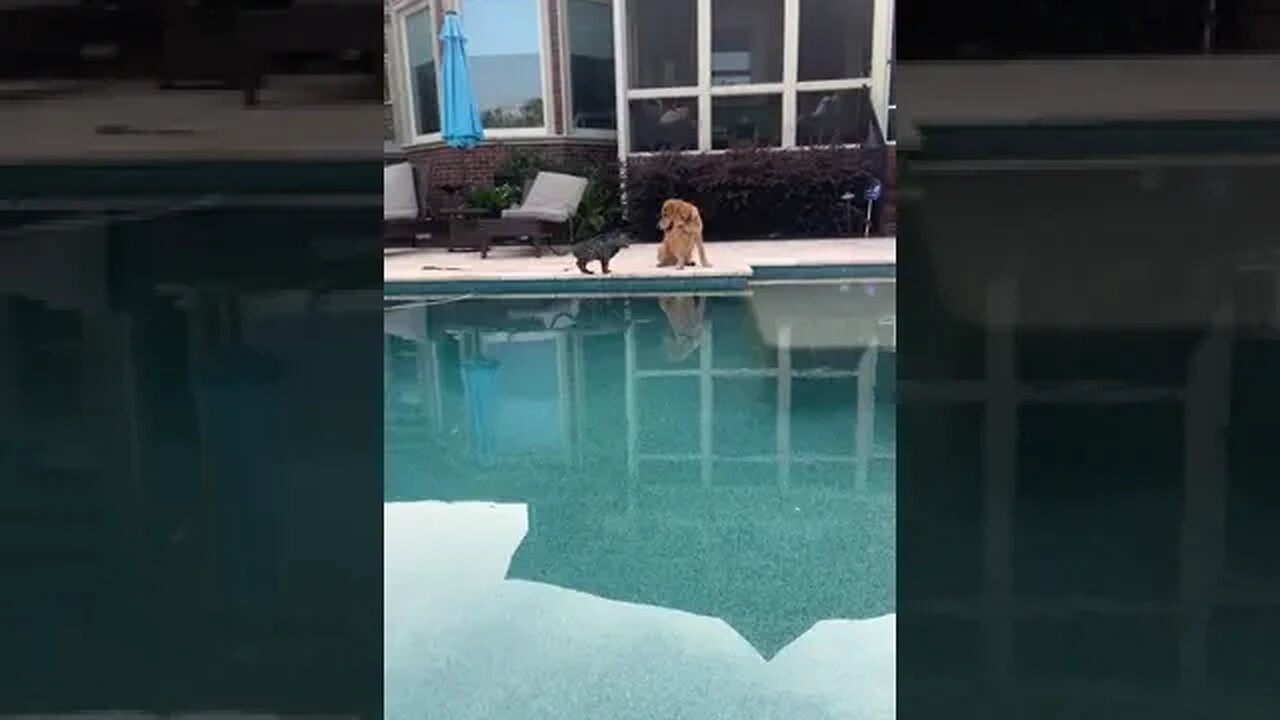 into the water