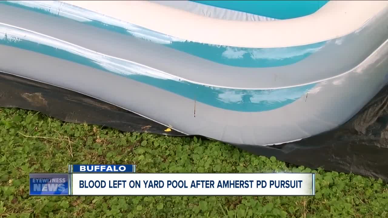 Blood left on yard pool