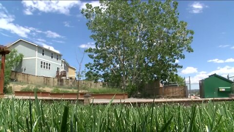 Despite Colorado's high unemployment rate, landscaping industry says they're having trouble hiring