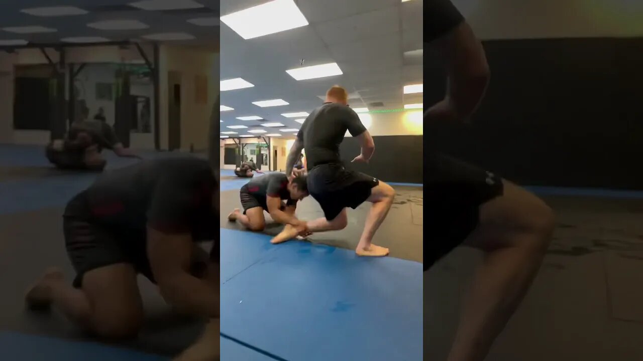 Tim Welch Grappling Josh Cisneros #jiujitsu #bjj