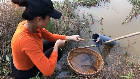 Unique Fish Trap with Primitive Technology