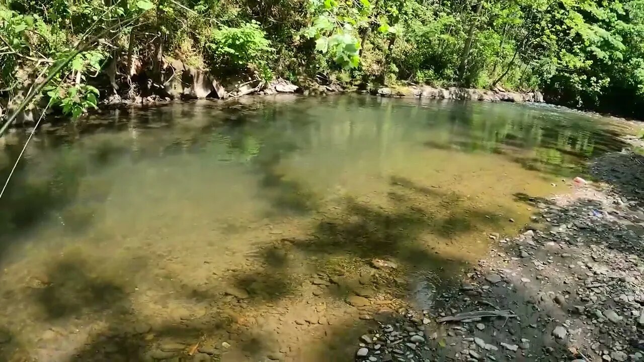 Catching GIANT Brown Trout in a Small Creek! -30