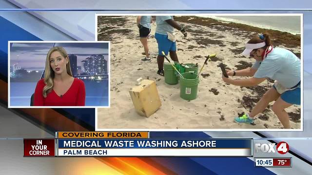 Activist in Florida are fighting to keep state beaches clean