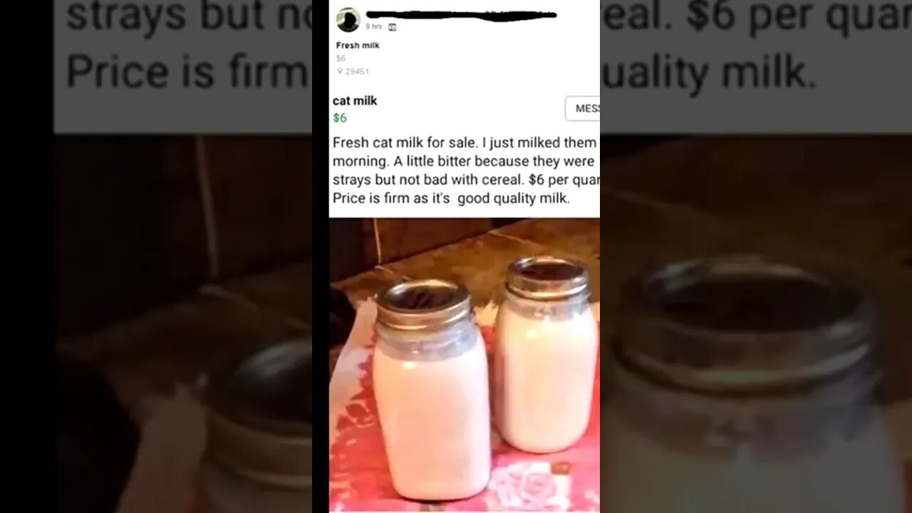 Someone Selling Cat Milk #cat #milk #facebook #marketplace #ytshorts #ytshort #youtubeshorts