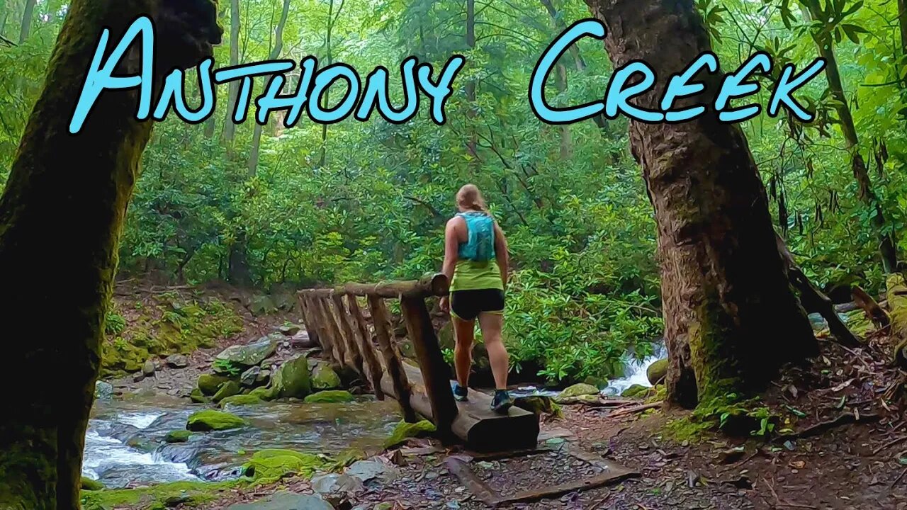 A Rainy Hike in Great Smoky Mountains - Anthony Creek Trail