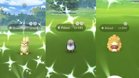 Shiny Hunting