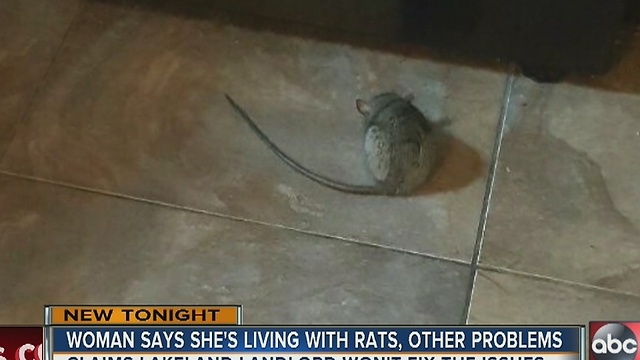 Woman says she's living with rats and other problems