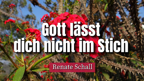 Gott lässt dich nicht im Stich