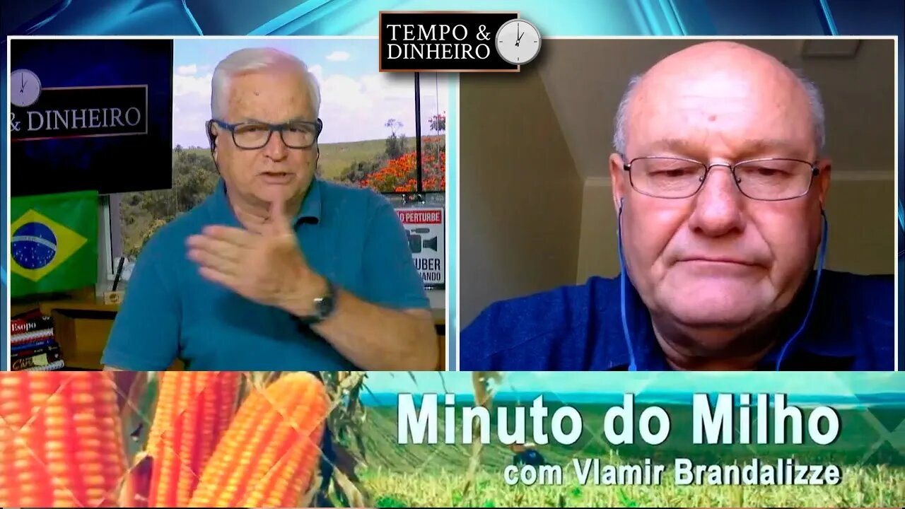 Paraná começando colher Milho