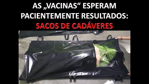 SACOS DE CADÁVERES PREPARADOS PARA INJECTADOS