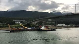 Tenso: grua atinge ponte no Alasca