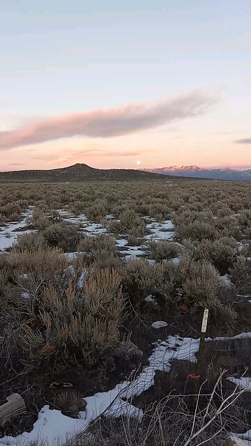 FREE SPEACH THANKS RUMBLE