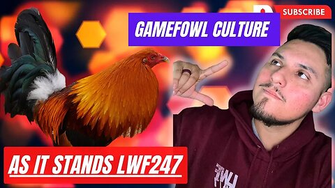 GAMEFOWL CULTURE - AS IT STANDS TODAY!