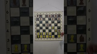 What is the Paris Gambit in Chess?