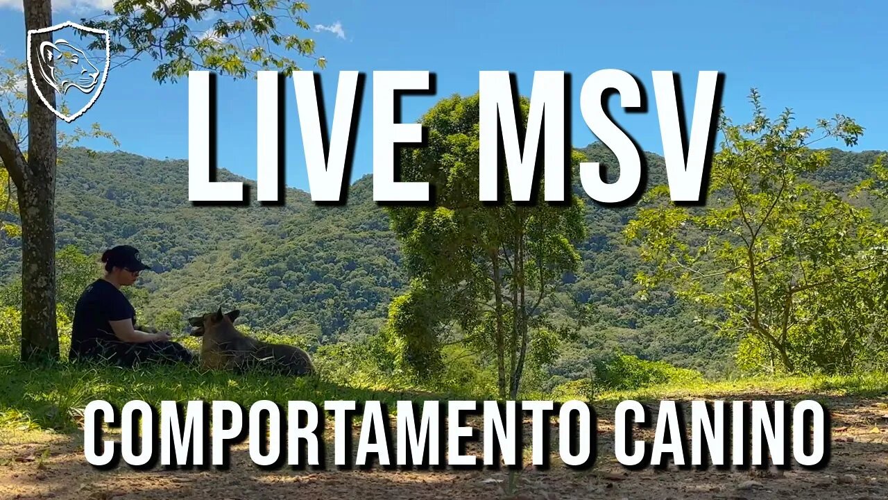 COMPORTAMENTO CANINO COM @orepullio - LIVE MSV