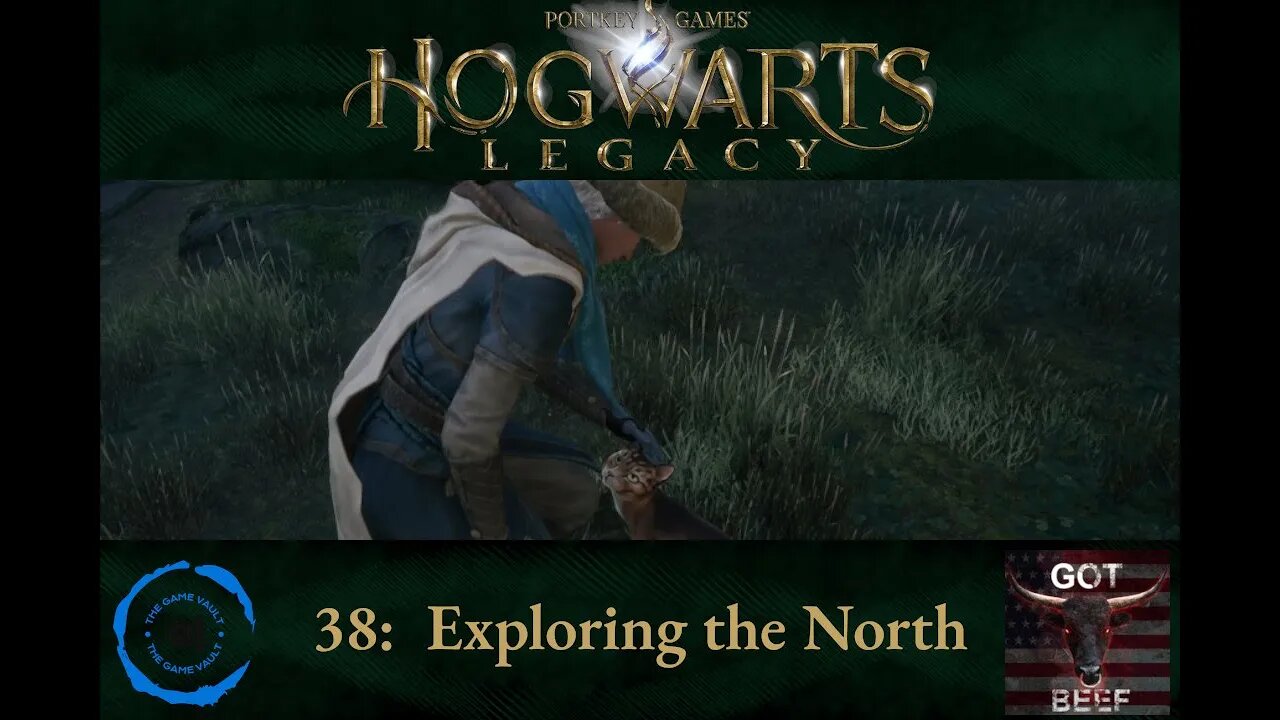 Hogwarts Legacy 38: Exploring the North