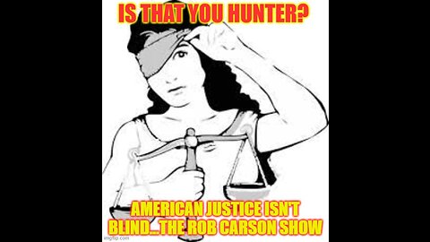 Hunter cops a plea, and the FBI gives him a slap on the wrist? Well no SH*T SHERLOCK!