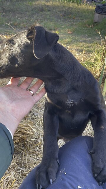 Keeper’s First Night