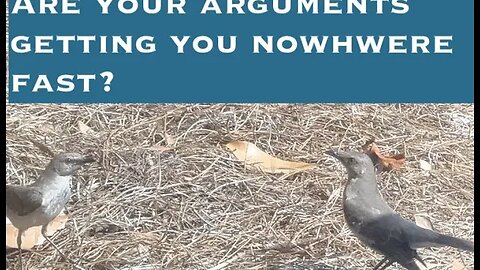 Are Your Arguments Getting You No Where Fast?