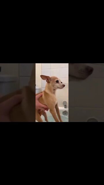 Is this Witch Spell? , # short