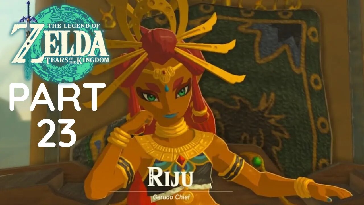 Zelda tears of the kingdom - Riju