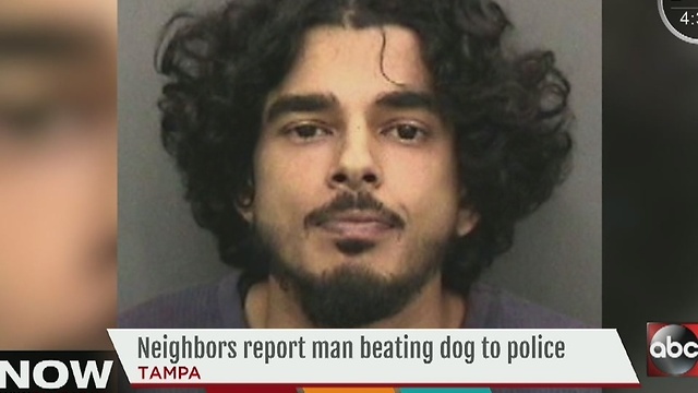 Tampa man jailed, accused of repeatedly beating dog with metal pole