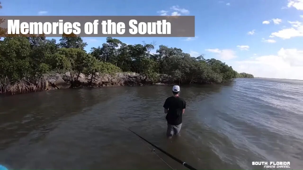 Days of Fishing Brings Memories of the South | Not a catch and cook