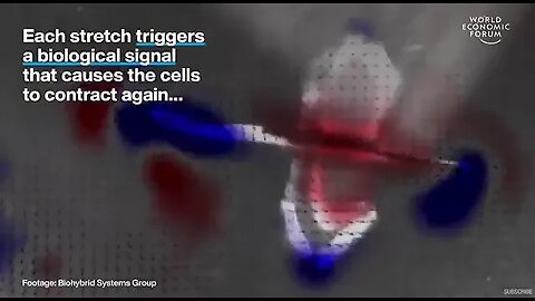 "Harvard scientist made a robotic fish from human heart cells" 😬