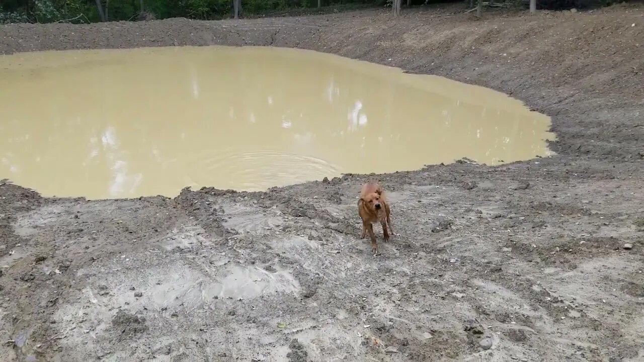 Pond Visit