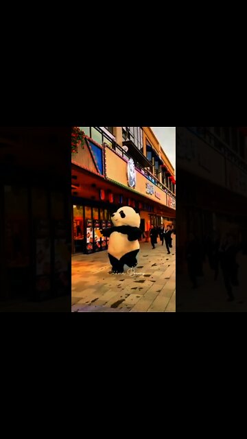 lazzie bwoy-Only Multimedia