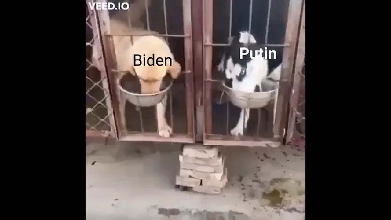 Biden VS Putin