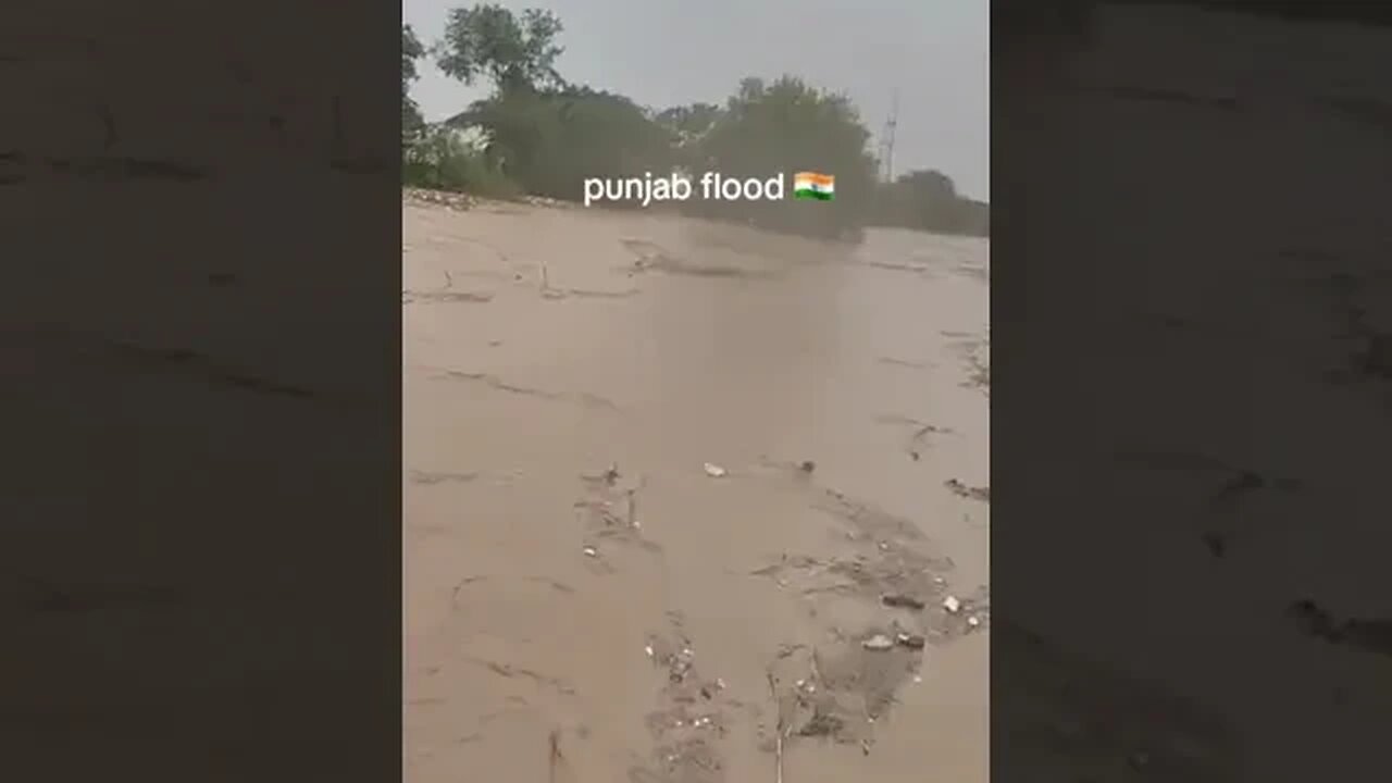 flood 2