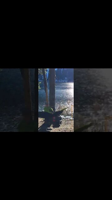 Mason Lake - Hammock and rainfly setup. #hiking #camping #hammock #pnw #pnwlife