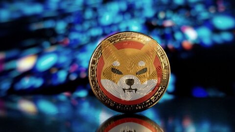 The Next SHIBA TOKEN ! 5 TOP Cryptos going to the moon