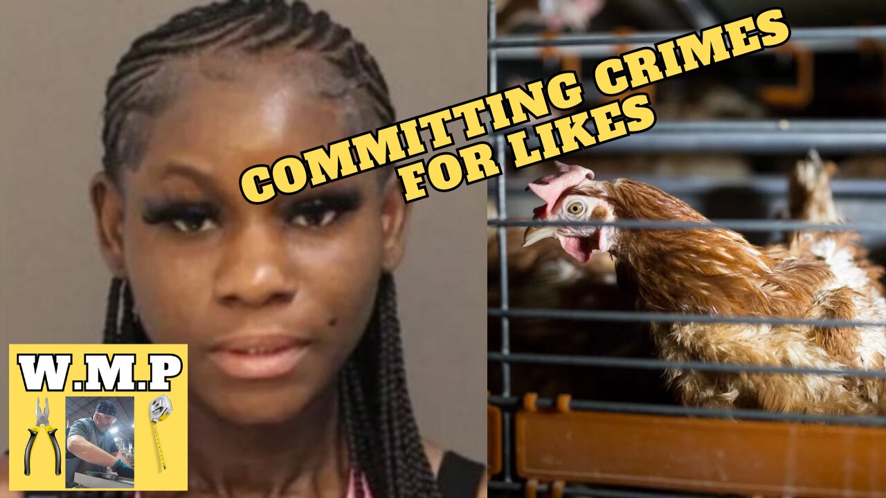 Youtuber tortured animals for Subs