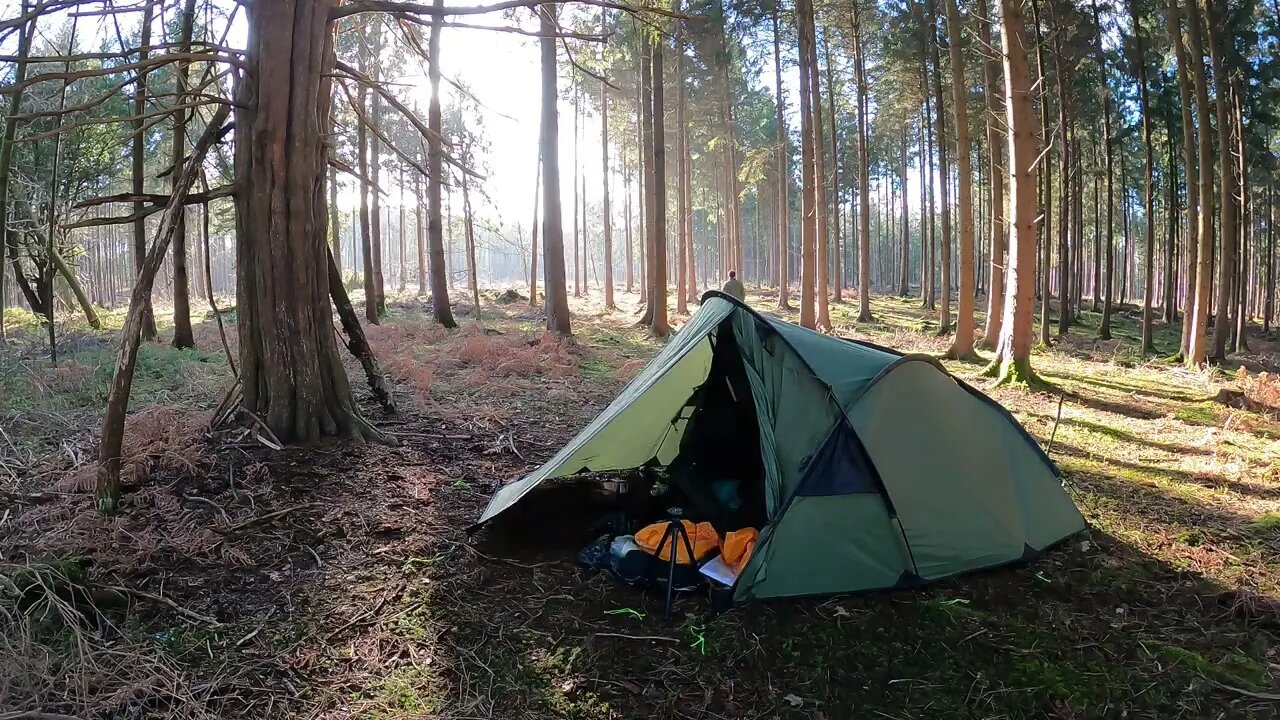 woodland wildcamping timelapse 19th Jan 2023
