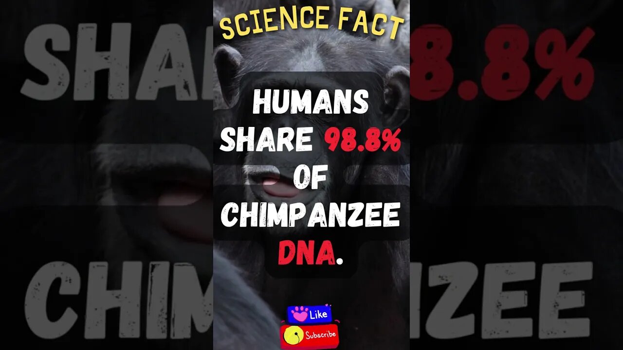 🧬🔬Amazing Science Facts! 👀 #shorts #shortsfact #science #sciencefacts #scientificfact #dna #human