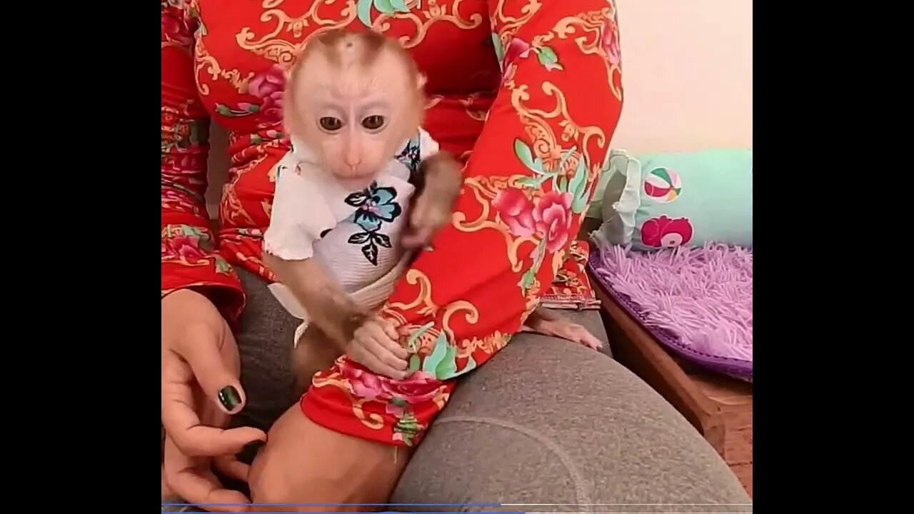 precioso monito bebe con mami