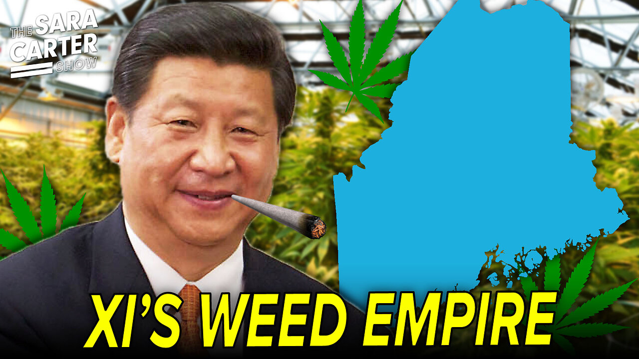 The Chinese Communist Party's Weed Farms Are DESTROYING Maine