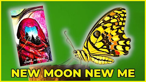 Experiment And Grow! - New Moon In Cancer Collective Tarot Reading