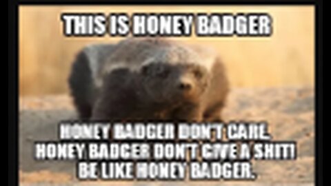 Honeybadger Trilogy Part 1: Crazy Randall Narration & Mayham Stoffel's Escape