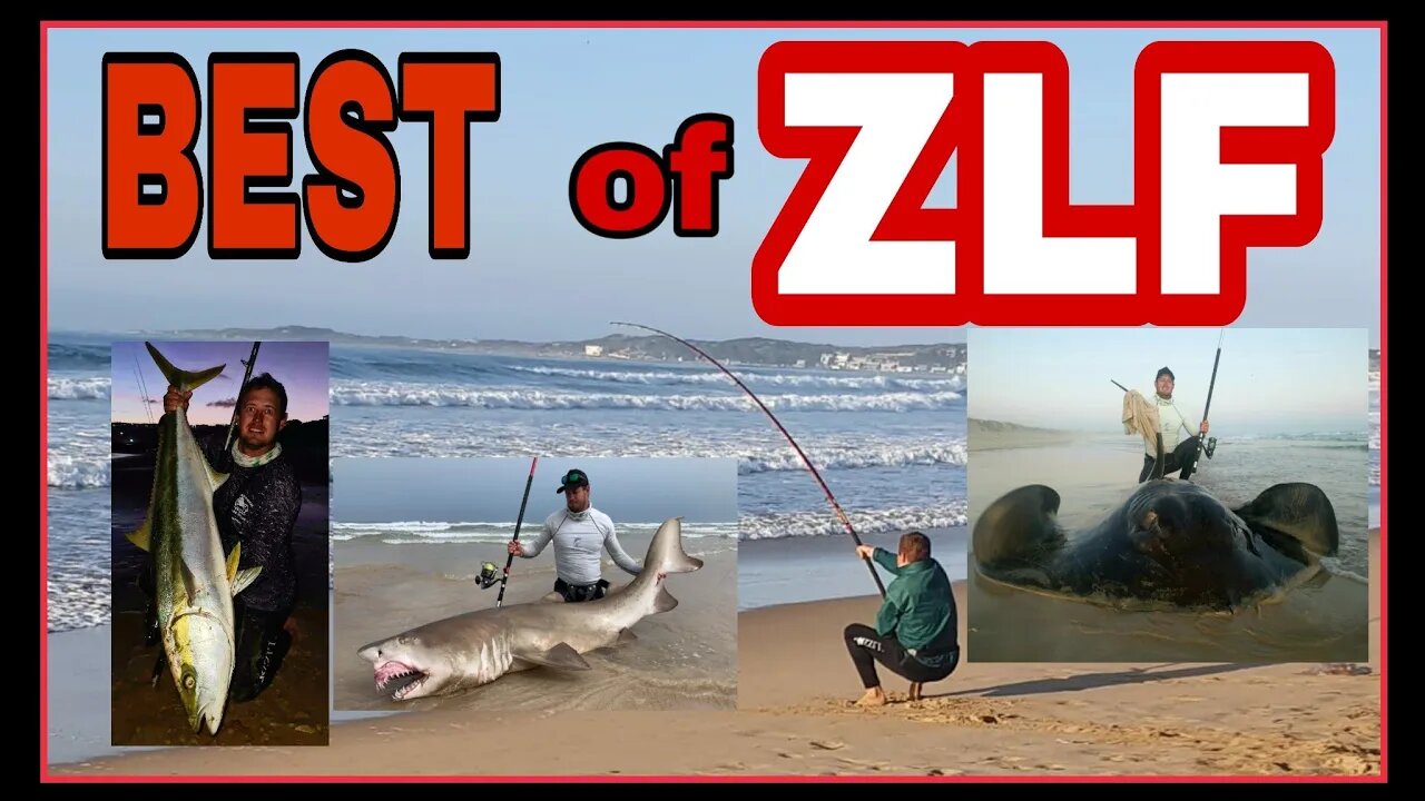 ZOO LOOK FISHING summer 2019/20 HIGHLIGHTS! ZLF BEST MOMENTS!