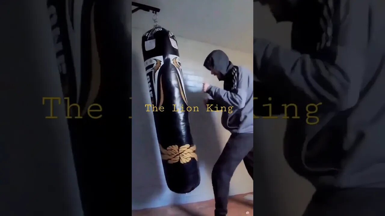 The Lion king training for Danny Leeds on the punch bag for @bkbbattles #shorts #dougiejoyce