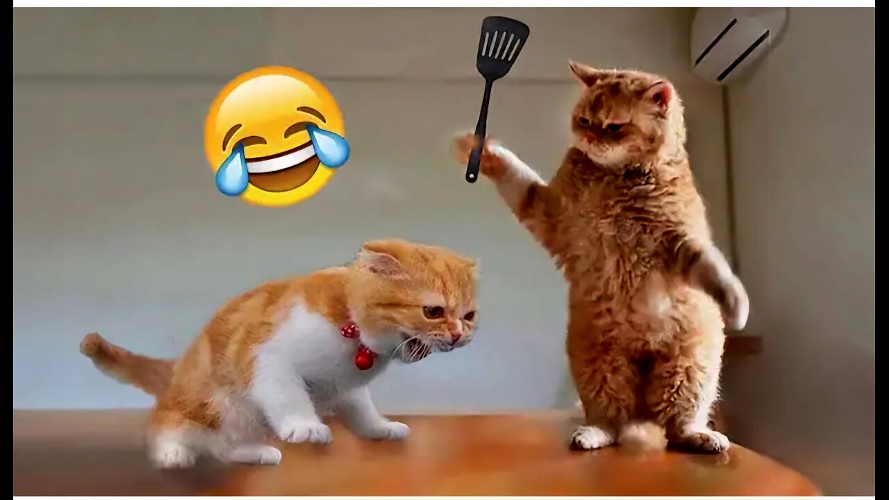 Funniest Cats and Dogs π±πΆπ€£| Funny Animal Videos