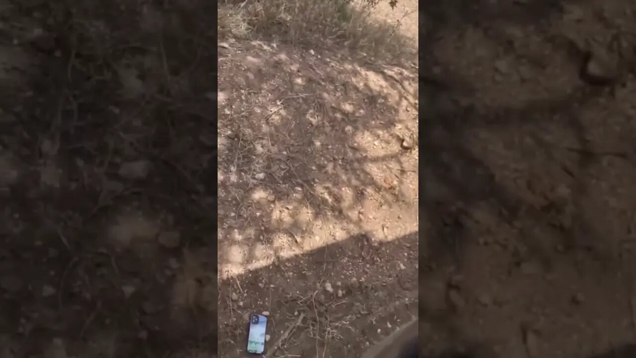 #chuchodelchucho #shorts #elcafetazo