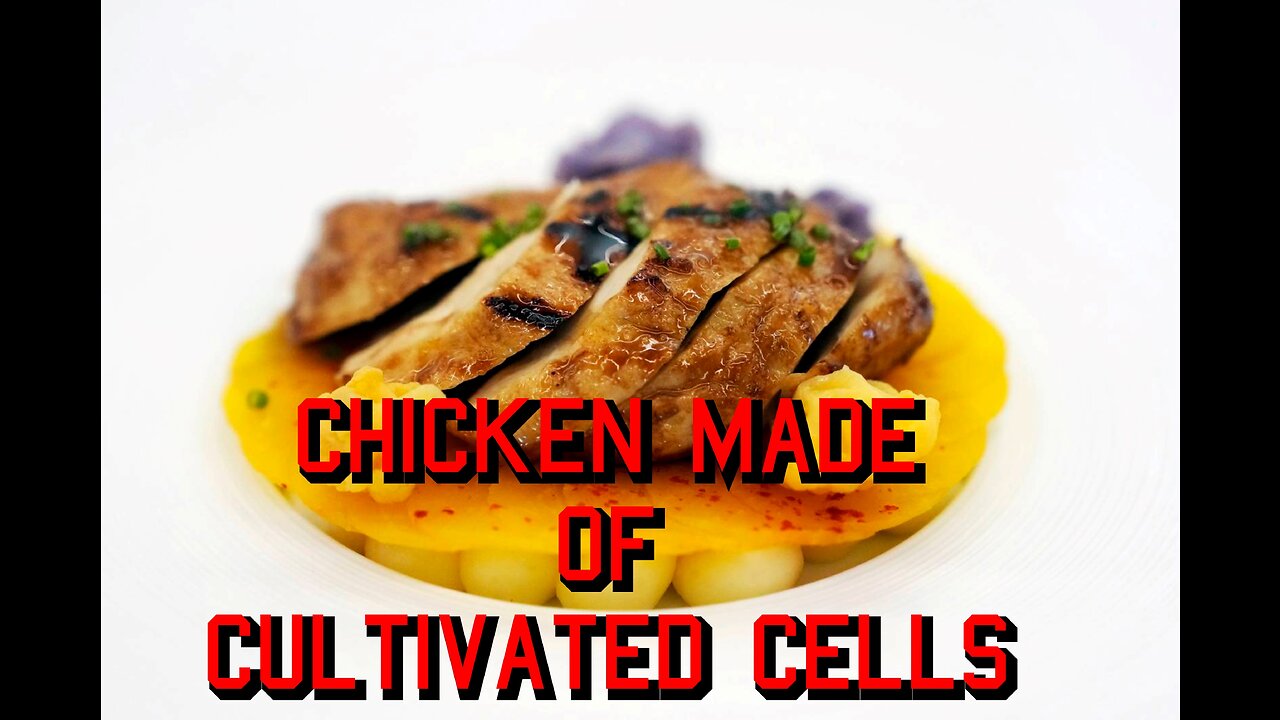 USDA Approves Chicken Made from Cultivated Cells