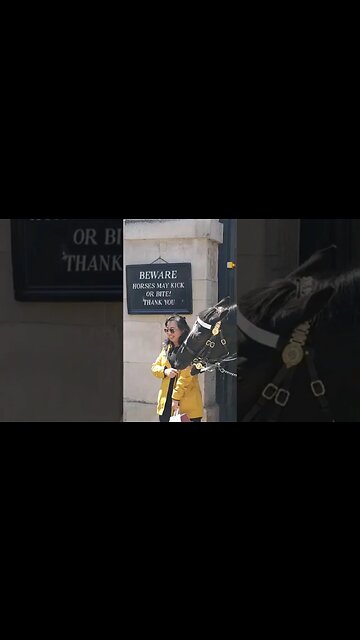 Horse gives her a scare #horseguardsparade